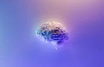 Groundbreaking Brain Interface Technology Signals New Era for Executive Decision-Making