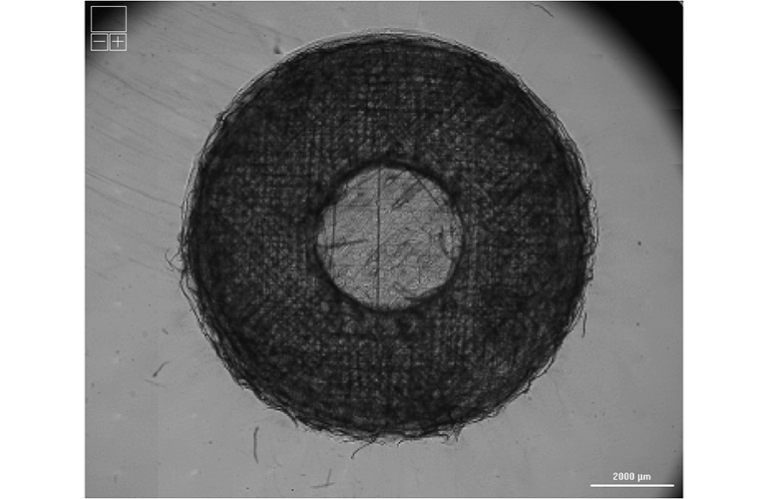 University of Saskatchewan scientists pioneer 3D-printed lung model to transform respiratory disease research